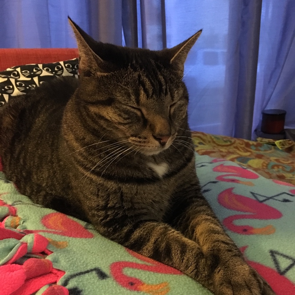 Meet your Posher, Karen